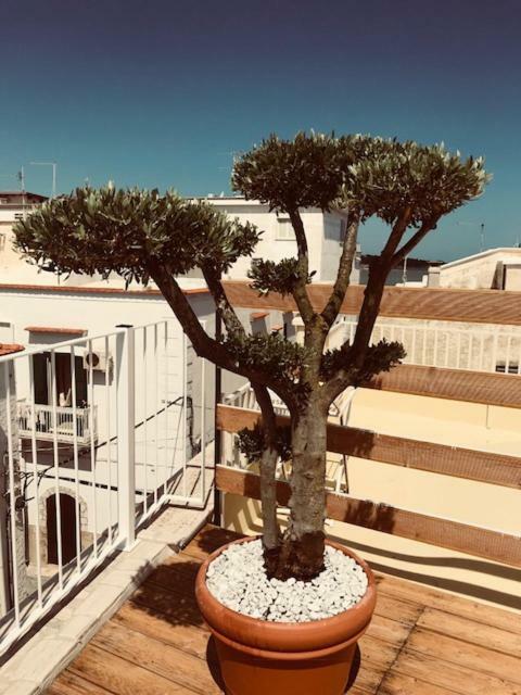 La Casa Al Borgo Apartment Vieste Ngoại thất bức ảnh
